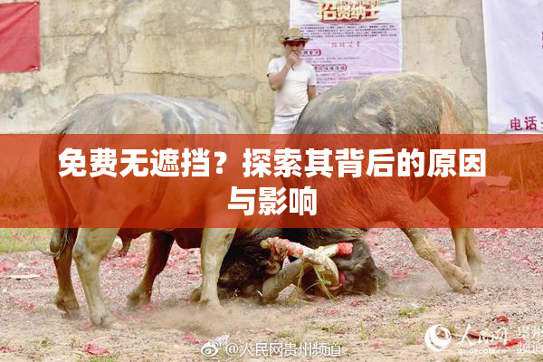 免费无遮挡？探索其背后的原因与影响