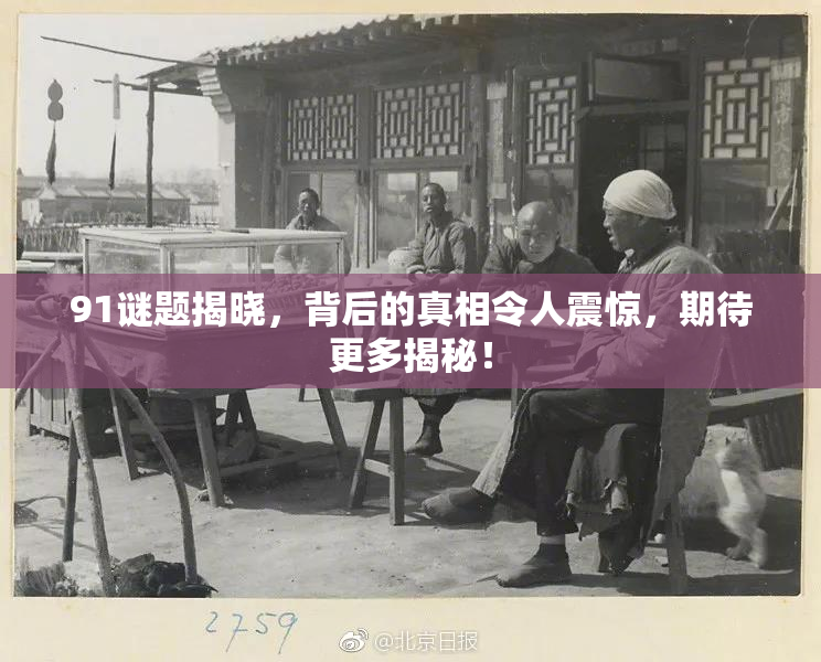91谜题揭晓，背后的真相令人震惊，期待更多揭秘！