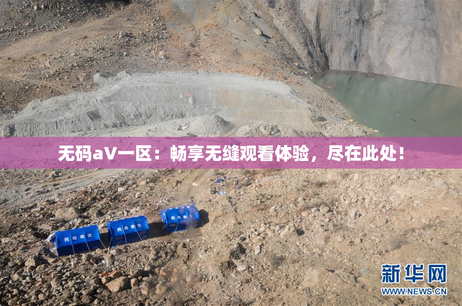 无码aV一区：畅享无缝观看体验，尽在此处！