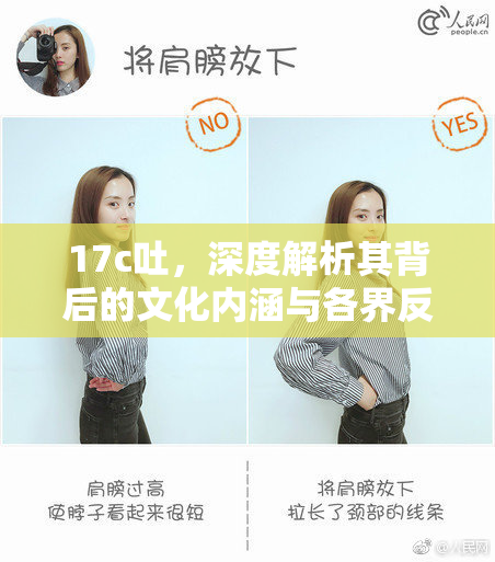 17c吐，深度解析其背后的文化内涵与各界反响