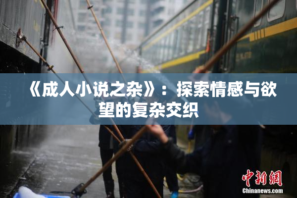 《成人小说之杂》：探索情感与欲望的复杂交织