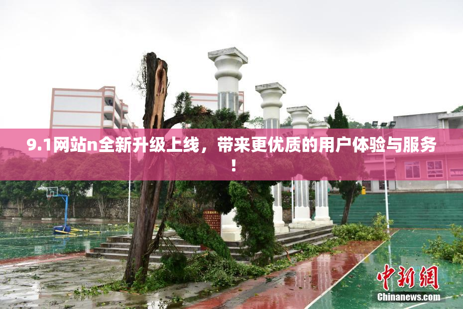 9.1网站n全新升级上线，带来更优质的用户体验与服务！