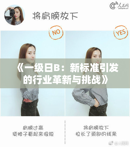 《一级日B：新标准引发的行业革新与挑战》