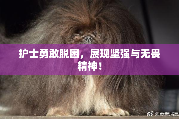 护士勇敢脱困，展现坚强与无畏精神！