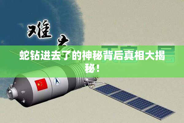 蛇钻进去了的神秘背后真相大揭秘！