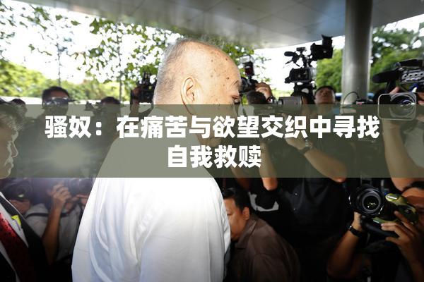骚奴：在痛苦与欲望交织中寻找自我救赎