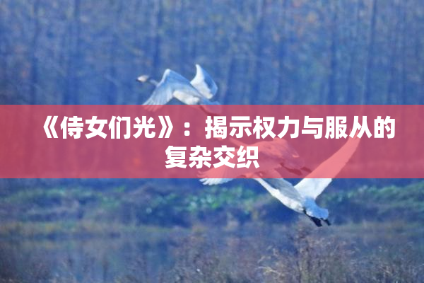 《侍女们光》：揭示权力与服从的复杂交织