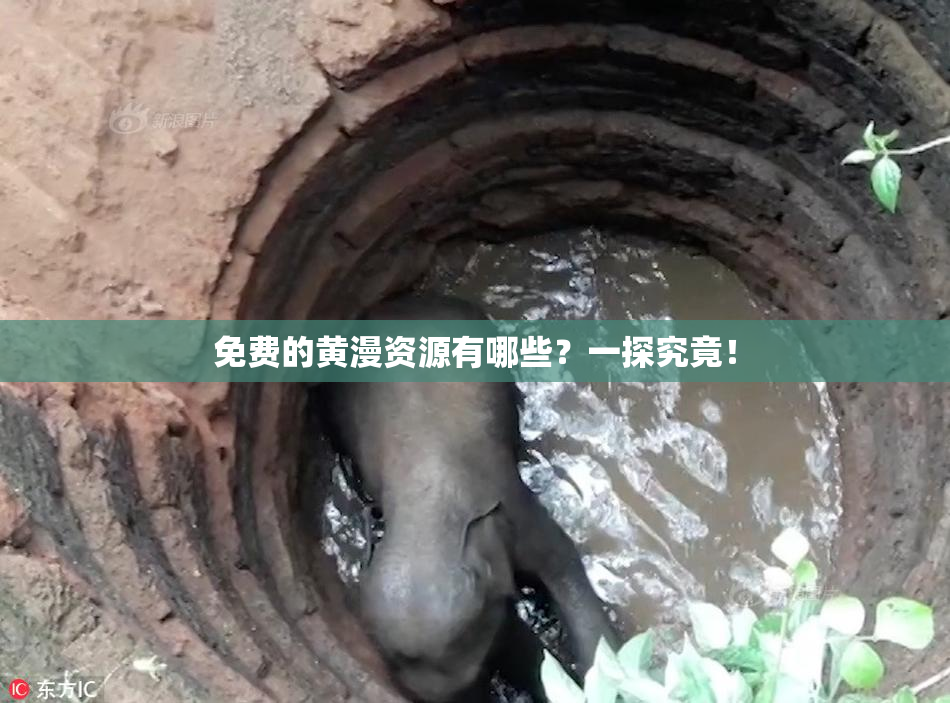 免费的黄漫资源有哪些？一探究竟！