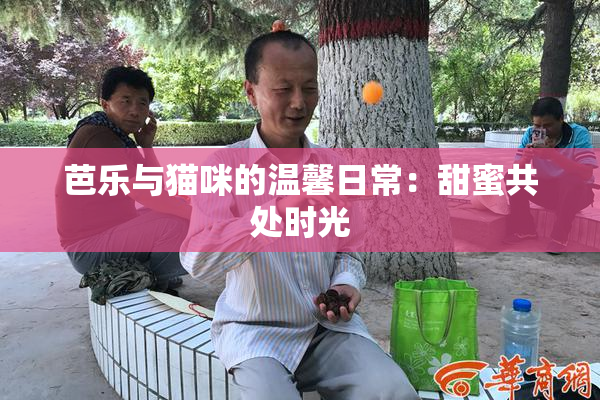 芭乐与猫咪的温馨日常：甜蜜共处时光