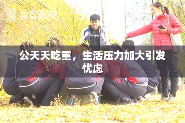 公天天吃重，生活压力加大引发忧虑