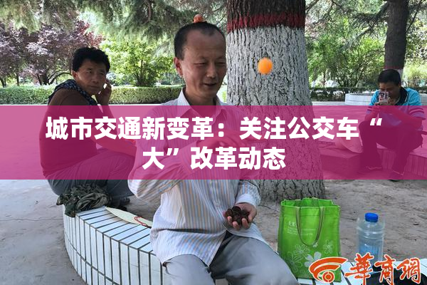 城市交通新变革：关注公交车“大”改革动态