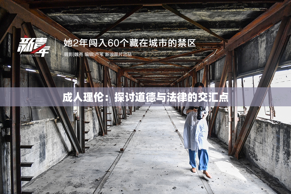 成人理伦：探讨道德与法律的交汇点