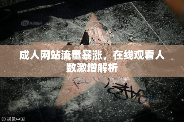 成人网站流量暴涨，在线观看人数激增解析