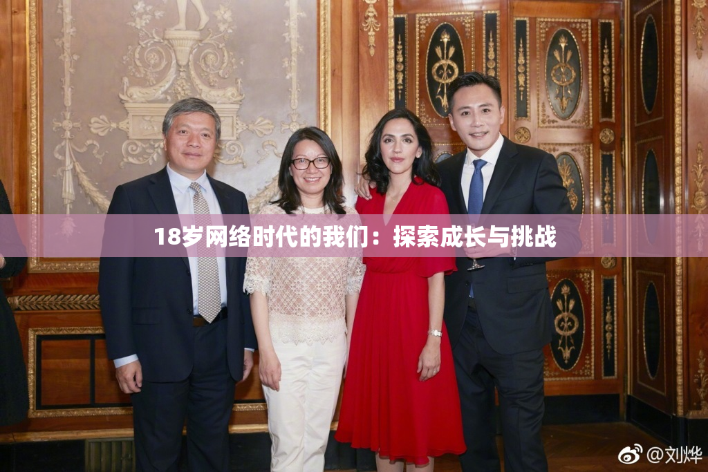 18岁网络时代的我们：探索成长与挑战