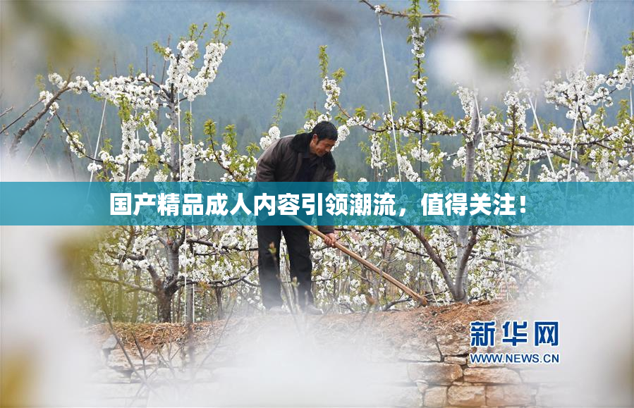 国产精品成人内容引领潮流，值得关注！