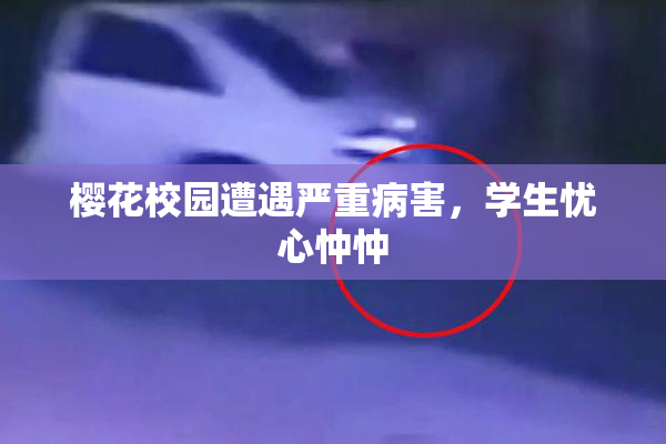 樱花校园遭遇严重病害，学生忧心忡忡