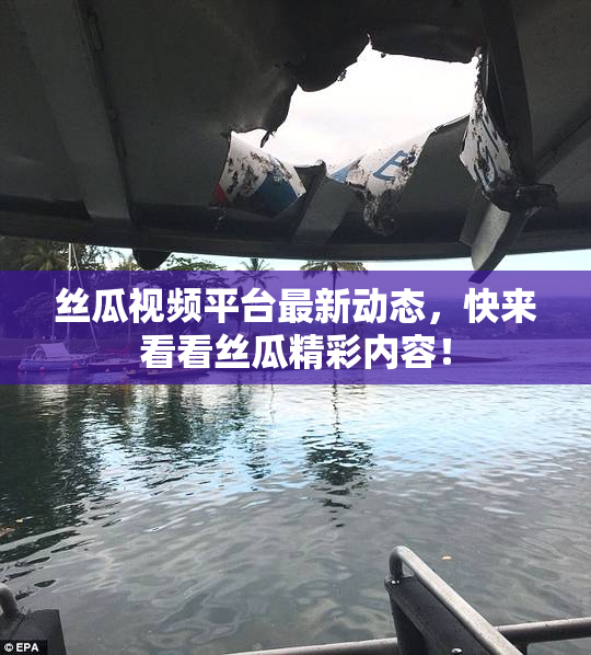 丝瓜视频平台最新动态，快来看看丝瓜精彩内容！
