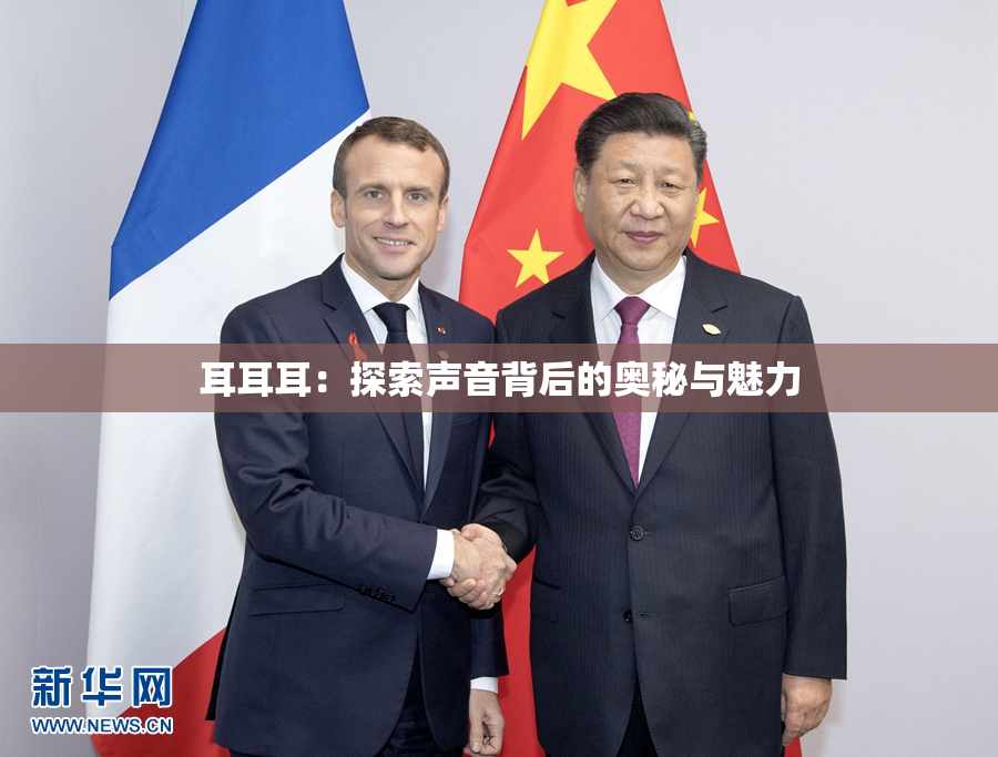 耳耳耳：探索声音背后的奥秘与魅力