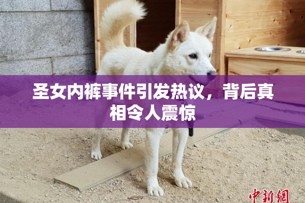 圣女内裤事件引发热议，背后真相令人震惊