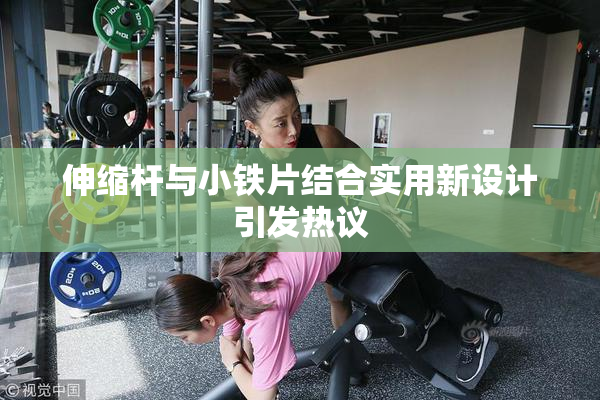 伸缩杆与小铁片结合实用新设计引发热议