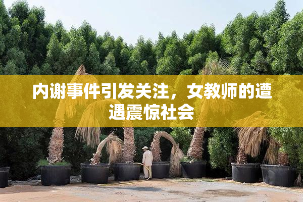 内谢事件引发关注，女教师的遭遇震惊社会