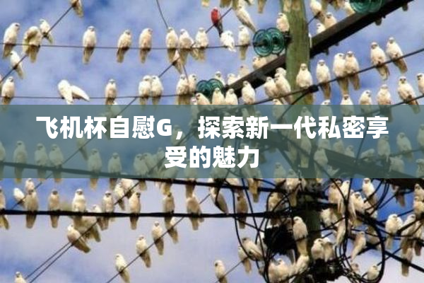 飞机杯自慰G，探索新一代私密享受的魅力