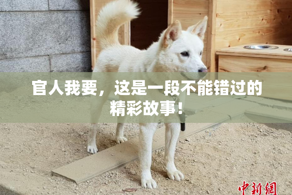 官人我要，这是一段不能错过的精彩故事！
