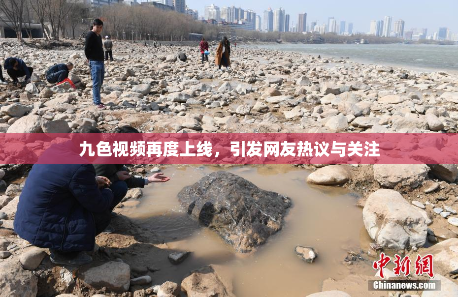 九色视频再度上线，引发网友热议与关注