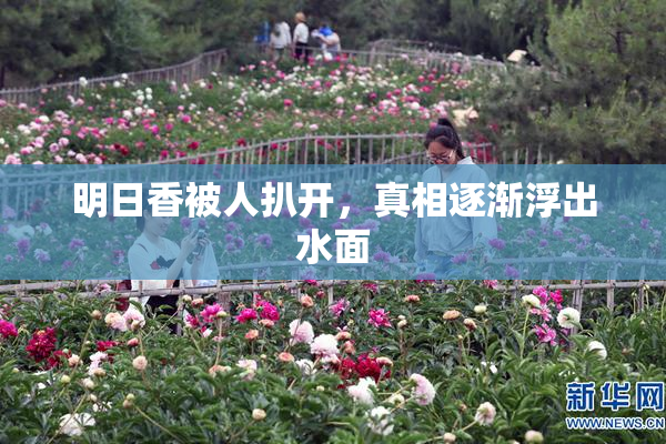明日香被人扒开，真相逐渐浮出水面