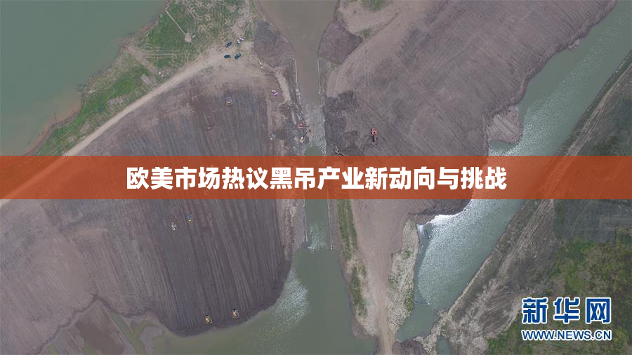 欧美市场热议黑吊产业新动向与挑战
