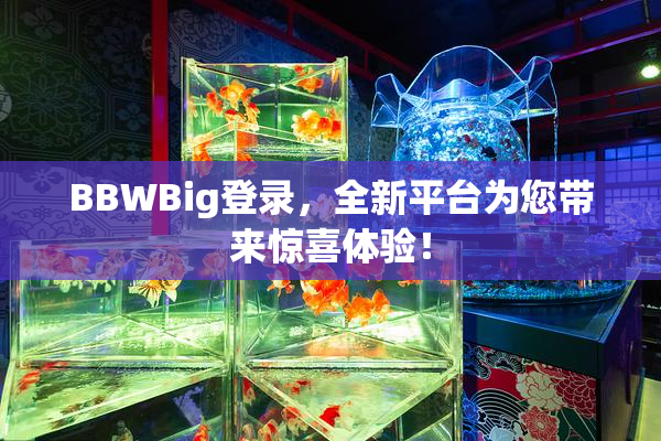 BBWBig登录，全新平台为您带来惊喜体验！