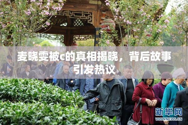 麦晓雯被c的真相揭晓，背后故事引发热议