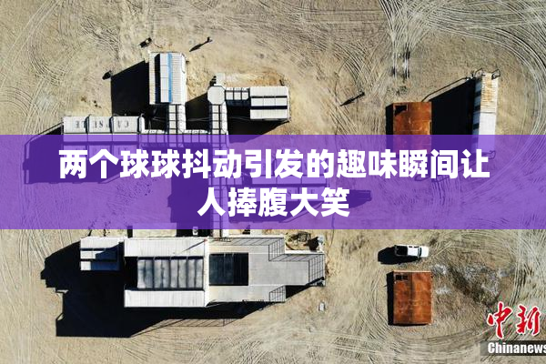 两个球球抖动引发的趣味瞬间让人捧腹大笑