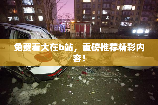 免费看大在b站，重磅推荐精彩内容！