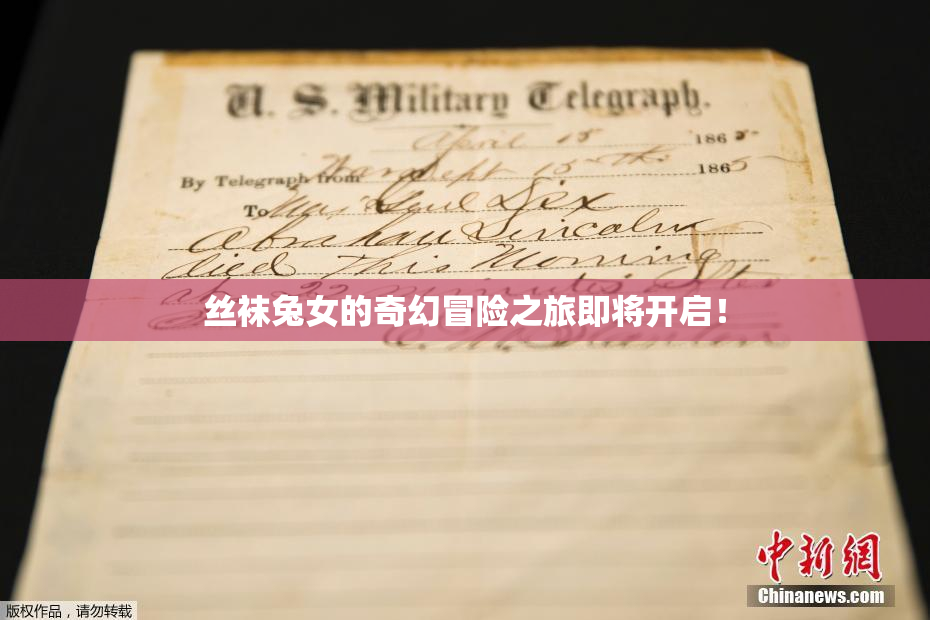 丝袜兔女的奇幻冒险之旅即将开启！