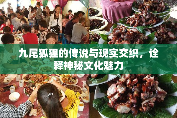 九尾狐狸的传说与现实交织，诠释神秘文化魅力