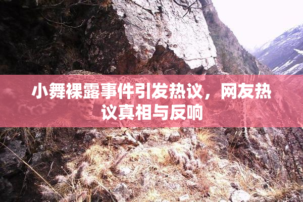 小舞裸露事件引发热议，网友热议真相与反响