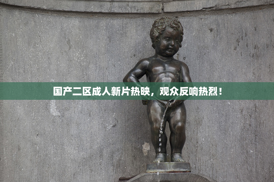 国产二区成人新片热映，观众反响热烈！