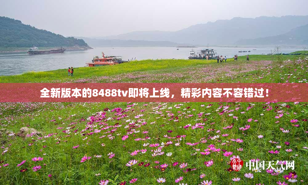 全新版本的8488tv即将上线，精彩内容不容错过！