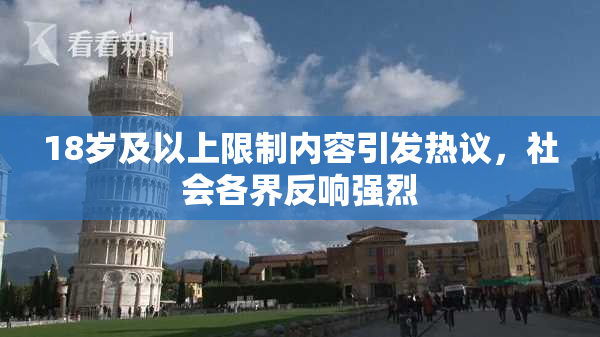 18岁及以上限制内容引发热议，社会各界反响强烈