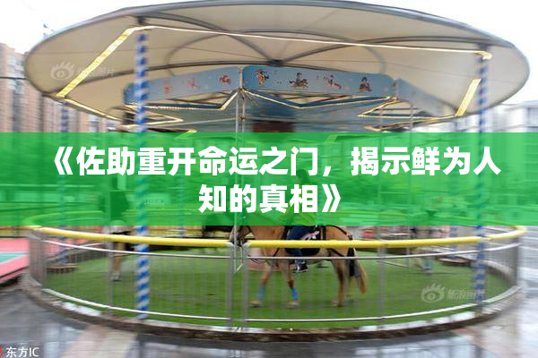 《佐助重开命运之门，揭示鲜为人知的真相》