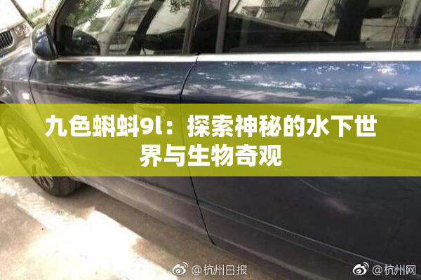 九色蝌蚪9l：探索神秘的水下世界与生物奇观