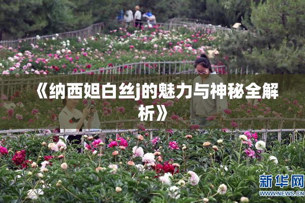 《纳西妲白丝j的魅力与神秘全解析》