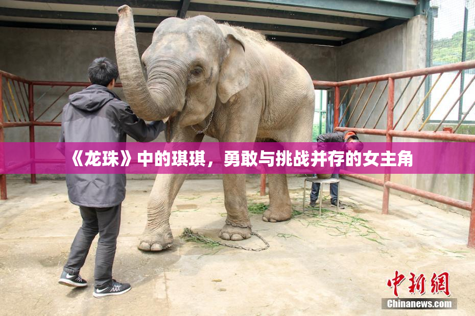 《龙珠》中的琪琪，勇敢与挑战并存的女主角