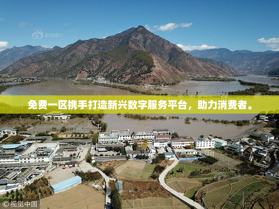 免费一区携手打造新兴数字服务平台，助力消费者。