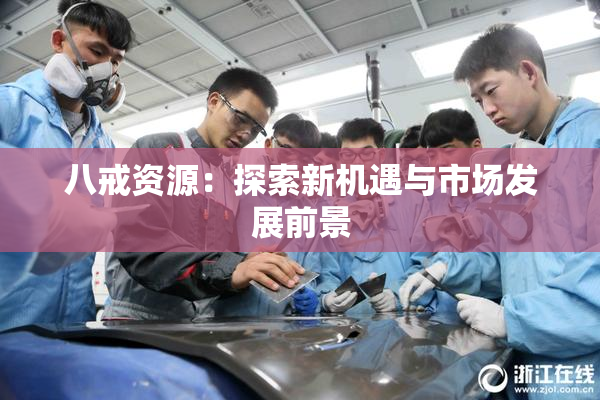 八戒资源：探索新机遇与市场发展前景