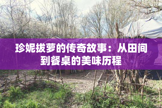 珍妮拔萝的传奇故事：从田间到餐桌的美味历程