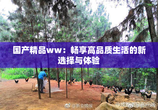 国产精品ww：畅享高品质生活的新选择与体验