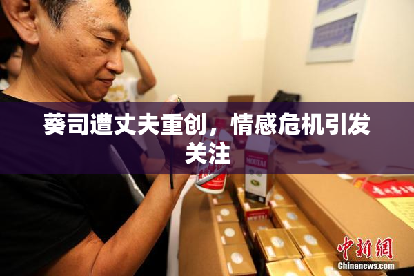 葵司遭丈夫重创，情感危机引发关注