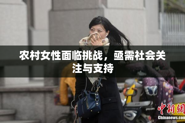 农村女性面临挑战，亟需社会关注与支持